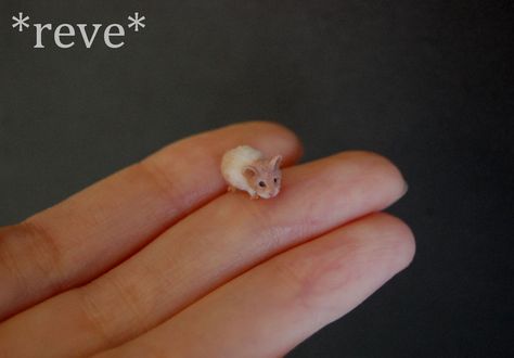 Handmade Miniature Hamster Sculpture by ReveMiniatures on DeviantArt Miniature Sculpture, Natural Fibers, Polymer Clay, Deviantart, Yarn, Sculpture