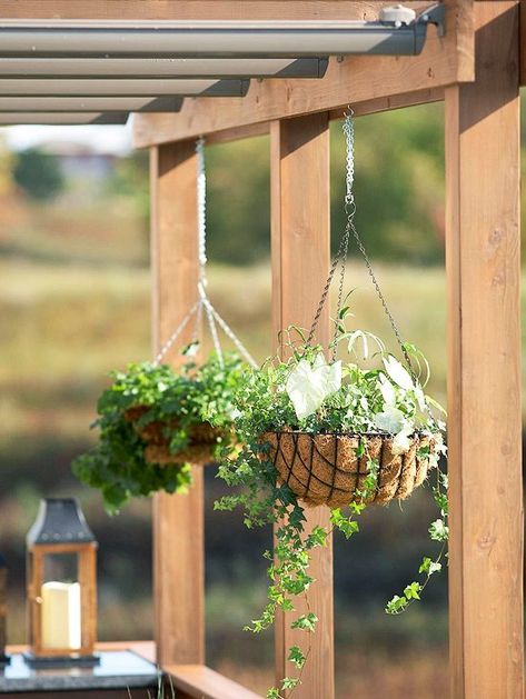 Curved Pergola, Attached Pergola, Hanging Plants Outdoor, Gutter Garden, Small Pergola, Pergola Swing, Plants Outdoor, Metal Pergola, Pergola Attached To House