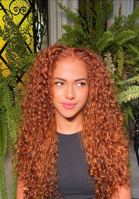 Orange Brown Curly Hair, Ginger Hair Light Skin Women, Copper Hair Curly, Copper Curly Hair, Ginger Curls, Copper Curls, Curly Ginger Hair, Reddish Hair, Red Streaks