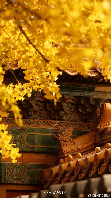 Chinese Temple, Chinese Aesthetic, Perfume Bottle Design, Forbidden City, Ginkgo Leaf, Fantasy Art Landscapes, Cinematic Photography, Yellow Aesthetic, Ancient China