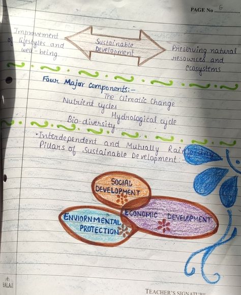 Sustainable Development Projects Class 10, File Cover Ideas, Project File Cover Ideas, Project File Cover, Notes Science, Sustainable Development Projects, Chaturthi Decoration, Resume Format Download, Dont Text And Drive