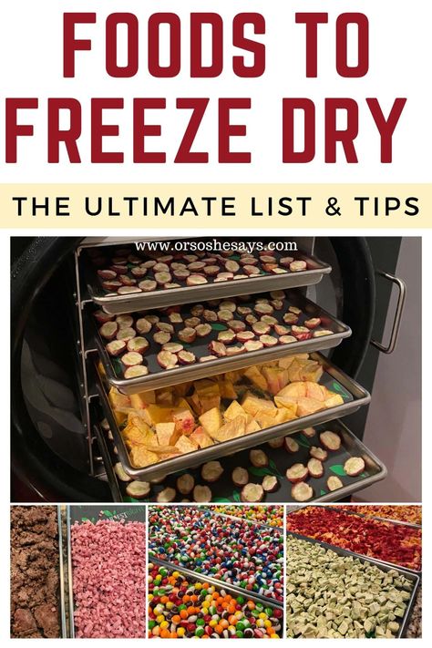 Foods You Can Put In Your Freeze Dryer ~ The Ultimate List & Tips - Or so she says... Freeze Dry Food, Dehydrating Food Storage, Freeze Dried Food Storage, Freeze Dried Vegetables, Harvest Right Freeze Dryer, Best Freeze Dried Food, Freeze Dried Food, Freeze Dryer, Dried Food