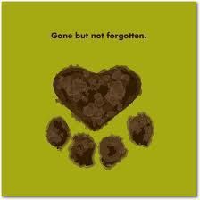 Gone but not forgotten <3 Gone But Not Forgotten, Sympathy Quotes, Game Mode, Pet Sympathy, Dog Memorial, Losing A Pet, Pet Loss, Animal Quotes, Dog Quotes