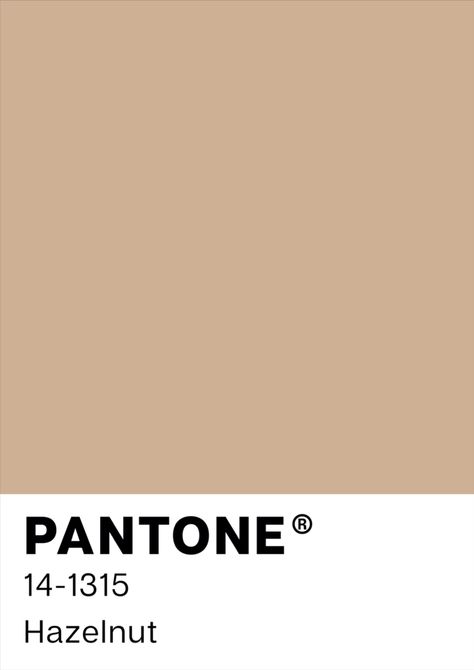 Plain Beige Background, Pantone Shade Card, Teddy Bear Room, Pantone Wallpaper, Soft Poster, Pantone Poster, Minimalist Business Card Design, Pale Dogwood, Pantone Color Chart