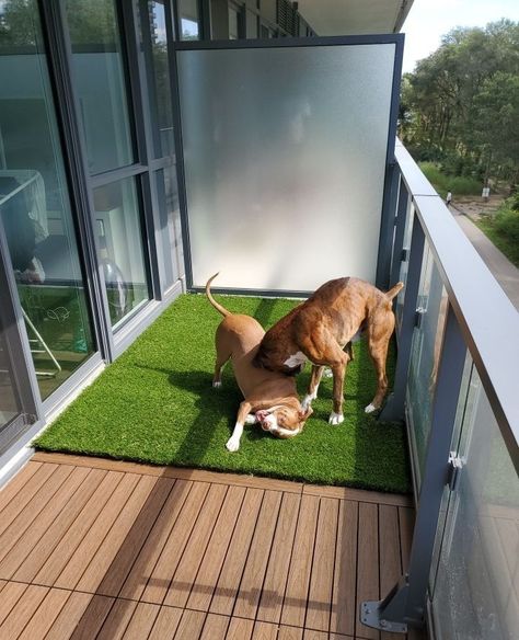 Dog Space On Balcony, Apartment Patio Fake Grass Ideas, Dog Area On Balcony, Small Patio Dog Area, Balcony Ideas Apartment Dog, Balcony Pet Area, Apartment Patio For Dogs, Apartment Balcony For Dogs, Apartment Patio Dog Potty