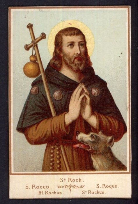 St Roch, Catholic Theology, Lives Of The Saints, Saint Roch, San Rocco, Francis Of Assisi, Catholic Prayers, Catholic Art, Catholic Gifts