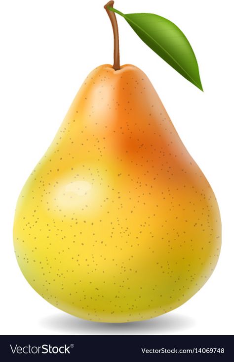 Inktober Inspiration, Pear Fruit, School Ideas, Montessori, Png Images, Adobe Illustrator, Pear, Preschool, Vector Images