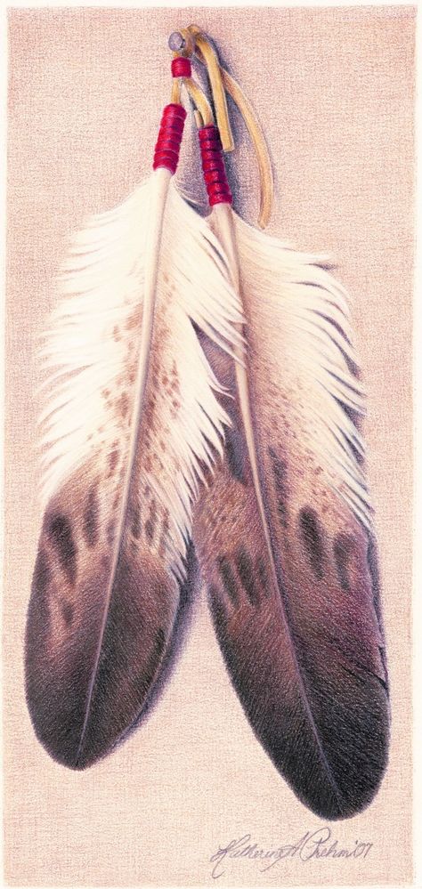 eagle feathers Red Indian Feather Tattoo, Golden Eagle Feather Tattoo, Bald Eagle Feather Tattoo, Eagle Feather Tattoo Design, Golden Eagle Feather, Eagle Feather Tattoo, Aztec Feathers, Bald Eagle Feather, Native American Feather Tattoo