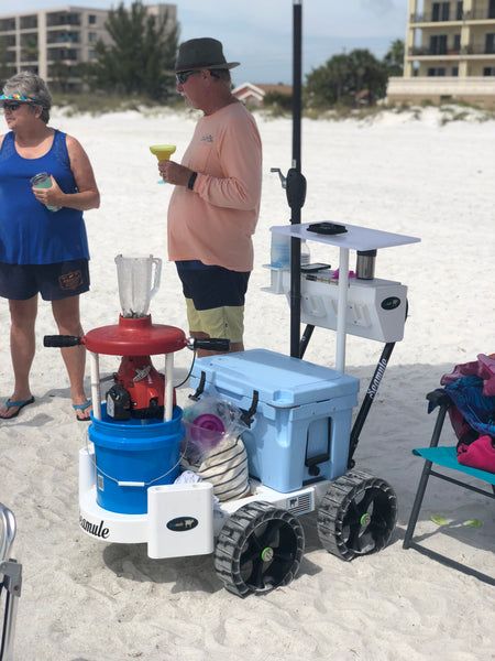 Beach Wagon Diy, Pier Cart, Beach Wagon Cart, Fishing Cart, Folding Cart, Beach Wagon, Beach Cart, Happy Black Friday, Wagon Cart