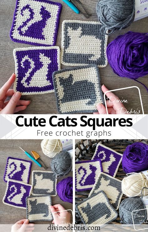 Cozy Hobbies, Crochet Cats, Crocheted Squares, Friends Crochet, Squares Crochet, Night Activities, Graph Patterns, Crochet Graph, Granny Square Crochet Patterns Free