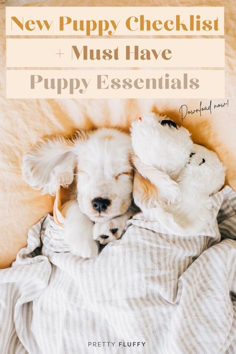 Puppy Must-Haves: The Essential New Puppy Shopping List 2022 Puppy Must Have List, Puppy Necessities List, Puppy List New, Puppy Items List, Cute Puppy Collars, New Puppy Supplies, Dog Mom Must Haves, New Puppy Gift Basket, Things To Do With Your Puppy