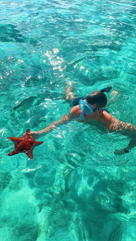 Snorkeling In Bahamas, Exuma Bahamas Where To Stay, Bahamas Astethic, Bimini Bahamas Aesthetic, Atlantis Bahamas Pictures, Bahamas Activities, Bahamas Photo Ideas, Bahamas Pictures Ideas, Nassau Bahamas Aesthetic