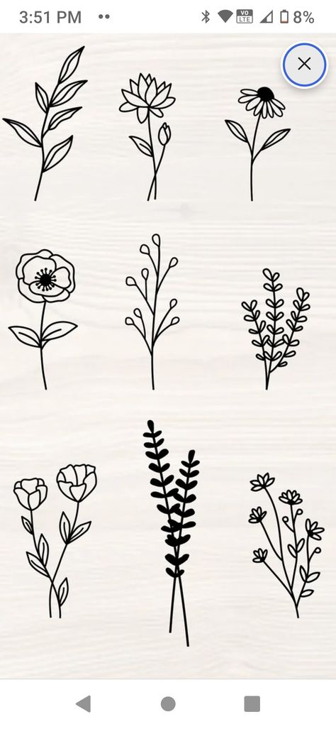 Drawing Small Flowers, Easy Wildflower Drawing, How To Draw Wildflowers Step By Step, Wild Flower Drawing Simple, Wildflower Drawing Simple, Step By Step Wildflower Drawing, Flower Doodles Easy, Wild Flower Drawing Doodles, Wild Flower Doodles Easy