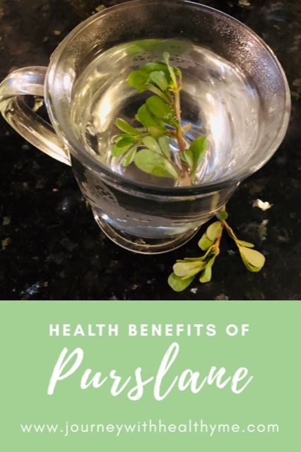 Health Benefits of Purslane - Journey With Healthy Me Purslane Tincture Recipe, Purslane Plant Recipes, Purslane Plant Benefits, Purslane Benefits, Purslane Recipes, Purslane Recipe, Mountain Plants, Purslane Plant, Medicinal Weeds