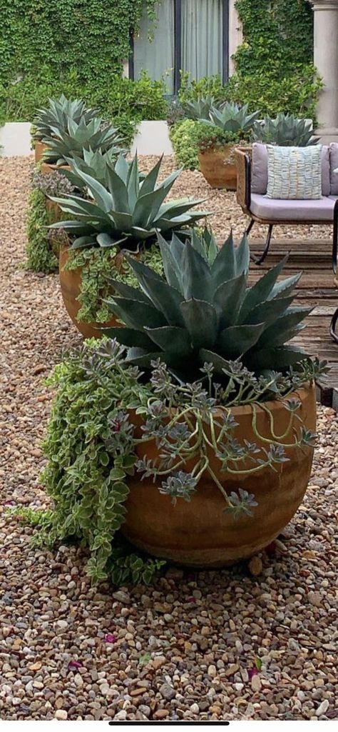 Desert Spanish Landscaping, Potted Succulents Outdoor Patio, Potted Backyard Landscaping, Agave Container Garden, Dessert Style Landscaping, Landscape With Succulents, Rock Landscape With Potted Plants, Rock And Pots Landscape, Landscaping Desert Front Yard