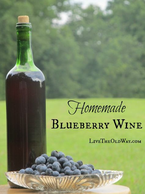 Blueberry wine recipe Blueberry Wine Recipe, Wine Making Recipes, Homemade Wine Recipes, Blueberry Wine, Mead Wine, Homemade Alcohol, Homemade Liquor, Wine Recipe, Liquor Recipes