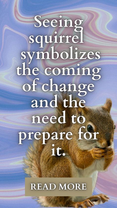 Do you know what is the squirrel spiritual meaning and symbolism? I will explain everything you need to know in this article. Squirrel Spirit Animal Meaning, Squirrel Spiritual Meaning, Squirrel Symbolism, Universe Signs, Dead Squirrel, Spiritual Animals, White Squirrel, Spirit Animal Meaning, Animal Meanings