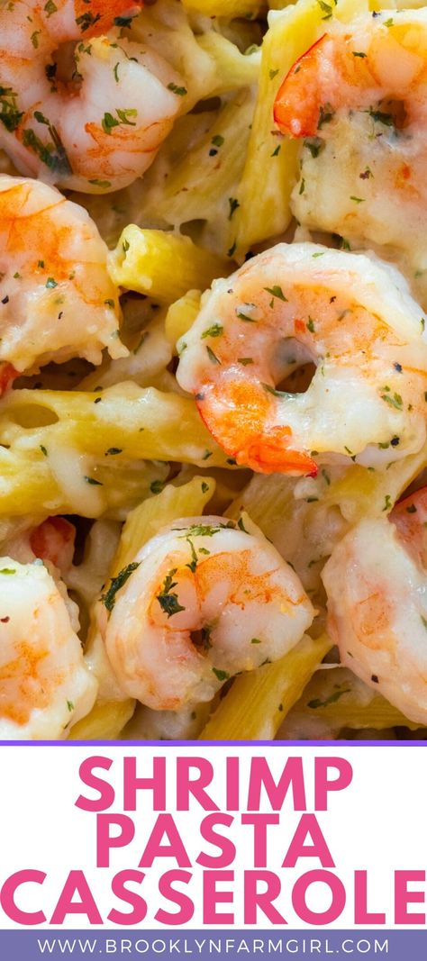 Shrimp Pasta Dishes Recipes, Recipes With Large Shrimp, Pescatarian One Pot Meals, One Pan Shrimp Pasta, Shrimp And Macaroni, Recipes Using Campbells Cream Of Shrimp Soup, Casseroles With Shrimp, Shrimp And Egg Noodles Recipes, Shrimp Pasta Casserole Recipes