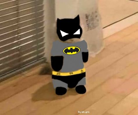 Batman Cat Pfp, Batman Pp, Batman And Spiderman Matching Pfp, Batman Dog, Cats Pfp, Cat Edit, Batman Cat, Cat Pfp, Batman And Catwoman