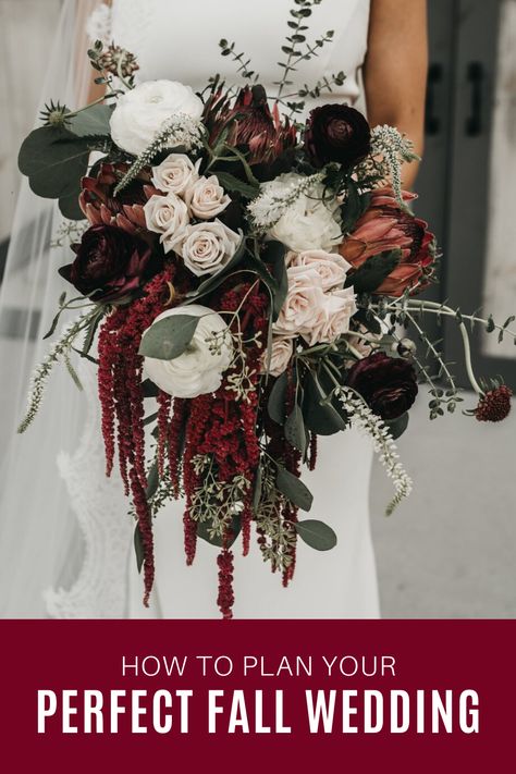 Ivory Bridal Bouquet, Dark Wedding Theme, Burgundy Bouquet, Bridal Bouquet Fall, Wedding Bouquets Bride, Autumn Bride, Dark Wedding, Moody Wedding, Fall Wedding Bouquets