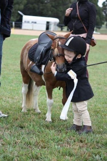 You can never love your first horse or pony enough. Mini Horse, Miniature Horse, Horse Crazy, Equestrian Life, Cute Horses, Appaloosa, Pretty Horses, Quarter Horse, Horse Pictures