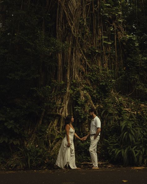 marisol + destin’s engagements💍🌿 do you have a favorite?? #oahuphotographer #oahucouplesphotographer #hawaiiphotographer #travelphotographer #couplesphotography #authenticlovemag #777luckyfish #documentaryphotographer #dirtybootsandmessyhair #crazyloveandwildkisses #loveandwildhearts #cinematicphotography #lovestory #unscriptedposingapp 🏷️ o’ahu photographer, hawai’i photographer, travel photographer, candid photos, cinematic photography, couples shoot, storytelling photographer, couples, ... Jungle Engagement Photos, Jungle Couple Photoshoot, Photo Shoot In Jungle, Pre Wedding Photoshoot In Jungle, Maternity Jungle Photoshoot, Botanical Garden Photoshoot Ideas Couple, Couple In Jungle Photography, Photographer Travel, Family Films