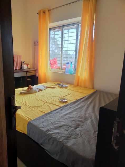 Minimal Bedroom design Yellow Bedsheet, Bedsheet Curtains, Aesthetic Guys, Aesthetic Iphone, My Room, The Room, Aesthetic Iphone Wallpaper, Solid Yellow, Kotatsu Table