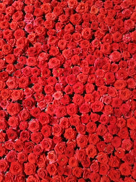 Room Full Of Roses, Pre College, A Bed Of Roses, Bed Of Roses, Rose Bedding, College Stuff, Inspo Board, Rose Wallpaper, Red Roses