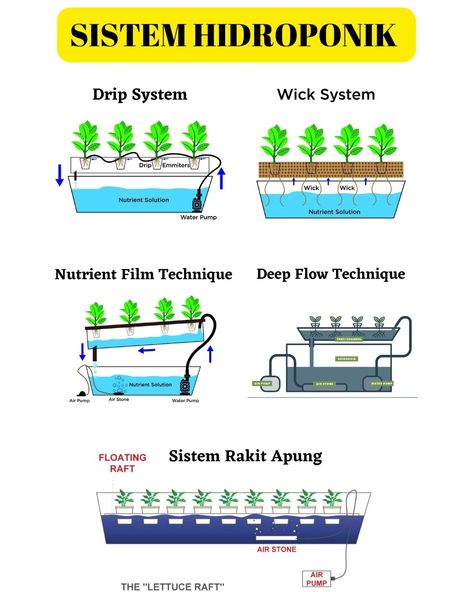 Sistem hidroponik adalah salah satu metode yang digunakan untuk menanam berbagai bentuk tanaman dengan tanpa menggunakan tanah dan hanya mengandalkan media air yang telah dicampur dengan larutan mineral dan nutrisi lainnya. Menanam dengan menggunakan media tanah memang mudah. Namun, metode hidroponik memiliki metode dan caranya tersendiri agar tanaman Anda bisa tumbuh subur dengan mudah. Tanaman Air, Film Technique, Drip System, Plant Garden, All About Plants, Ipa, Rafting, Water Pumps, Vegetable Garden