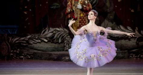 Olga Skripchenko as - Olga Skripchenko as Lilac Fairy in The Sleeping Beauty --- #Theaterkompass #Theater #Theatre #Tanztheater #Ballett Sleeping Beauty Ballet Lilac Fairy, Lilac Fairy Costume, Lilac Fairy Tutu, Sleeping Beauty Ballet Fairies, Lilac Fairy Ballet, Semi Eita, Sleeping Beauty Ballet, Lilac Fairy, Vaganova Ballet Academy