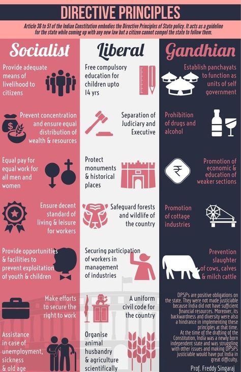 Directive Principles Of State Policy, Polity Notes In English, International Relations Notes, Polity Notes For Upsc, Pol Science, Polity Notes, Indian Polity, Government Lessons, World History Facts