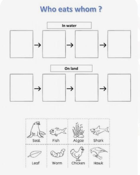 Food Chain Worksheets Grade 4, Food Chain Activities For Kids, Food Chains Activities, Ecosystem Worksheets, Simple Food Chain, Food Chain Game, Food Chain Activities, Food Chain Worksheet, Food Web Worksheet