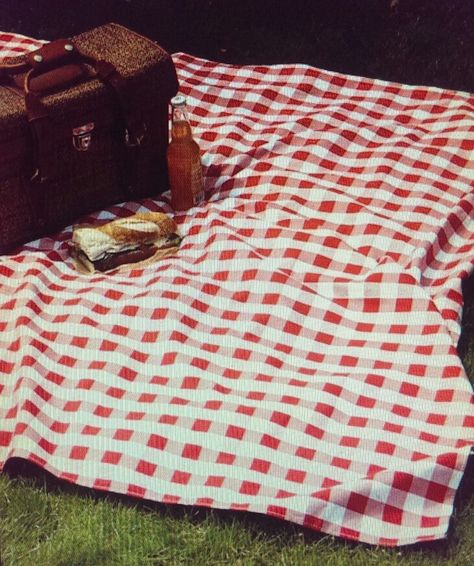 Checkered or plaid red and white picnic blanket or quilt. Red And White Picnic Blanket, Red Checkered Blanket, Gingham Picnic Aesthetic, Vintage Picnic Blanket, Cute Picnic Blankets, Picnic Blanket Drawing, Red Gingham Aesthetic, Vintage Picnic Aesthetic, Red Picnic Dress