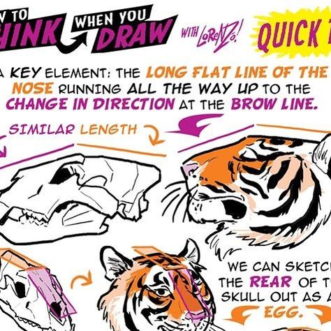 The Etherington Brothers on Instagram: "TIGER HEADS from the How to THINK When You Draw ENCYCLOPEDIA - the world’s ONLY encyclopedia of drawing tutorials, posted up FREE for EVERYONE, FOREVER, with NEW and CLASSIC tutorials coming up EVERY DAY only on our Instagram here: @etheringtonbrothers :) Lorenzo! #arttips #arttutorial #drawingtips #artprocess #stepbystepart #drawingtutorial #howtodraw #learnuary #howtodraw #drawingtutorial #conceptart #gamedev #animationdev #gameart #tutorial #inktober #sketch #illustration #art #drawing #indiegame #leveldesign #worldbuilding #environmentdesign #animation #characterdesign #visdev" Tiger Head Anatomy, How To Think When You Draw, Tiger Drawing Reference, How To Draw A Tiger, Tiger Head Drawing, Tiger Anatomy, Tiger Drawing Tutorial, Tiger Tutorial, How To Draw Tiger