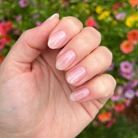 Best 20+ sheer pink nails you must try this year Short Nails Sheer Pink, Light Pink Clear Nails, Light Pink Shimmery Nails, Pink Translucent Nails, Clear Pink Gel Nails, Clear Pink Nails, Sheer Pink Nails, Translucent Pink Nails, Pink Clear Nails