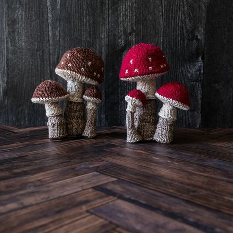 You know when I was designing the Wee Mushroom Trio I had this little guy in the back of my head 🍄 begging me to invite him to the mushroom party 🍄 🍄 🍄. How could I knit a Wee Mushroom Trio and not knit a red 🍄 capped 🍄 version 🍄 in honor of one of my favorite emojis? 🍄 🍄 🍄 I knit these in @leadingmenfiberarts Show Stopper in Clifford the big red dog, Black Walnut, and Heirloom. If you knit a red-capped Wee Mushroom Trio, 🍄please🍄 tag @imagined_landscapes so I can see them! 🍄❤️ #ImaginedL... Knit Mushroom, Mushroom Party, Clifford The Big Red Dog, Dog Black, The Mushroom, Red Cap, Red Dog, Black Walnut, Knitting Projects