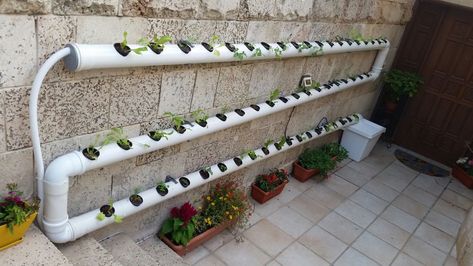 Hydroponic System Diy, Tower Hydroponics Diy, Counter Top Hydroponics, Diy Hydroponic Garden Outdoor, Small Hydroponics System Diy, Diy Indoor Grow System, Diy Hydroponics System How To Build, Easy Hydroponics Diy, Outdoor Hydroponic Garden