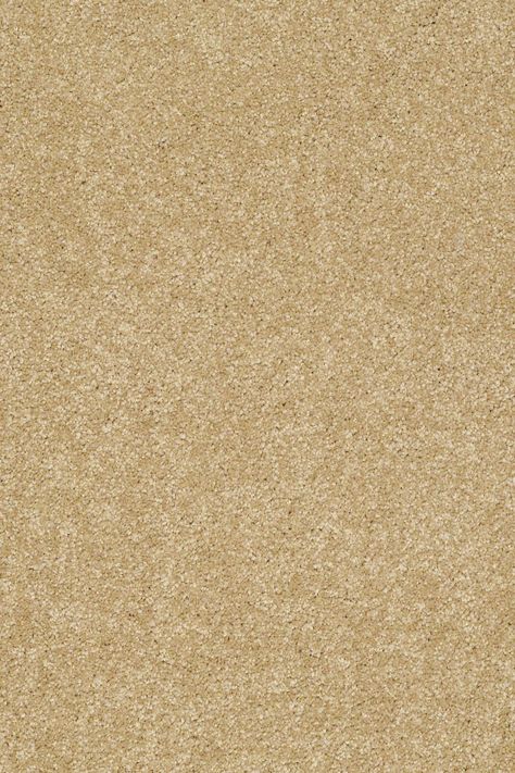 Gold Texture - Sahara Vinyl Flooring Uk, Gold Carpet, Sheet Vinyl Flooring, Shaw Flooring, Shaw Carpet, Carpet Samples, Golden Honey, Carpet Styles, Diy Carpet