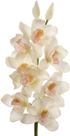 Elevate your space with our 30" White Cymbidium Orchid Stem. Featuring 2 buds and 10 stunning silk flowers, it's perfect for wedding, home, or office decor. Add a touch of elegance! Digital Wedding Invitations Templates, Cymbidium Orchid, 10 Flowers, Silk Orchids, Orchid Bouquet, Diy Arrangements, Artificial Orchids, Orchid Arrangements, Cymbidium Orchids