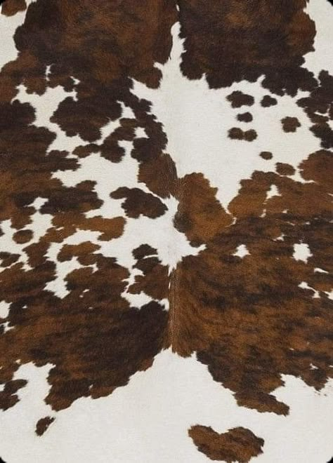 Animal Print Mood Board, Cow Hide Wallpaper, Posters Apartment, Cow Print Background, Cow Print Aesthetic, Cowgirl Core, Phone Makeover, 2025 Moodboard, Brown Cow Print