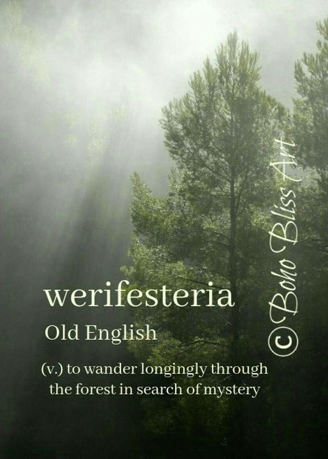 #werifesteria #words #universe #forest #mystery Citation Nature, Magic Nature, Forest Gift, Unique Words Definitions, Uncommon Words, Fancy Words, Weird Words, Unusual Words, Rare Words