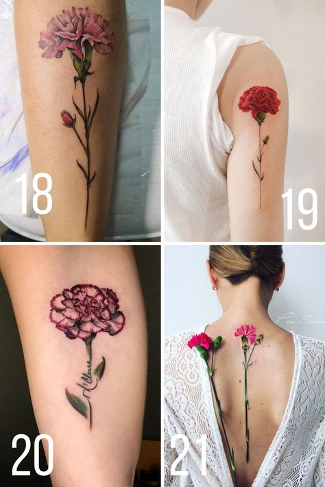 Beautiful Carnation Tattoo Ideas + Their Meaning - tattooglee Colored Carnation Tattoo, Carnation Tattoos For Women, Carnation Flower Tattoo Shoulder, Carnation Tattoo Sleeve, Carnation Tattoo Design, Carnation Flower Tattoo Design, Carnations Tattoo, Carnation Tattoos, Attached To People