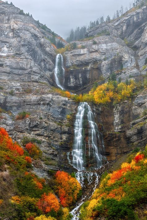 Bridal Veil Plant, Scenery Beach, Phuket Island, Bridal Veil Falls, Adventure Vacation, Nature Scenery, Fairy Queen, Hotel Resort, Beautiful Waterfalls