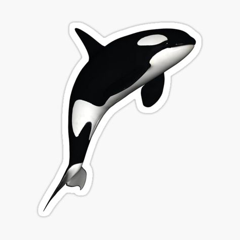 Whale Sticker, Killer Whale, Killer Whales, Independent Artist, Cricut, Unique Designs, For Sale, Art