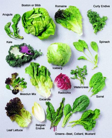 Salad Basics Salads Ideas, Leaves Meaning, Types Of Lettuce, Lettuce Recipes, Leaf Salad, Ambrosia Salad, Salad Leaves, Salad Ideas, Food Charts