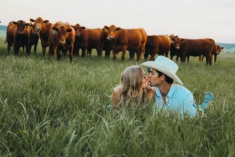 Engagement Pictures With Cows, Cow Pasture Photoshoot, Ranch Engagement Photos, Engagement Photos Ranch, Cow Engagement Pictures, Engagement Photos With Cows, Ranch Engagement Pictures, Photoshoot With Cows, Cow Photoshoot