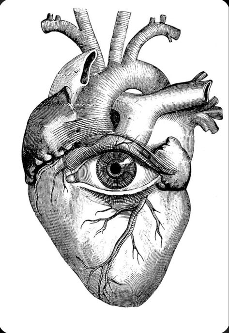 Human Heart Drawing, Drawing Heart, Girl Power Tattoo, Heart Coloring Pages, Heart Sketch, Caption This, Heart Drawing, Human Heart, Arte Inspo