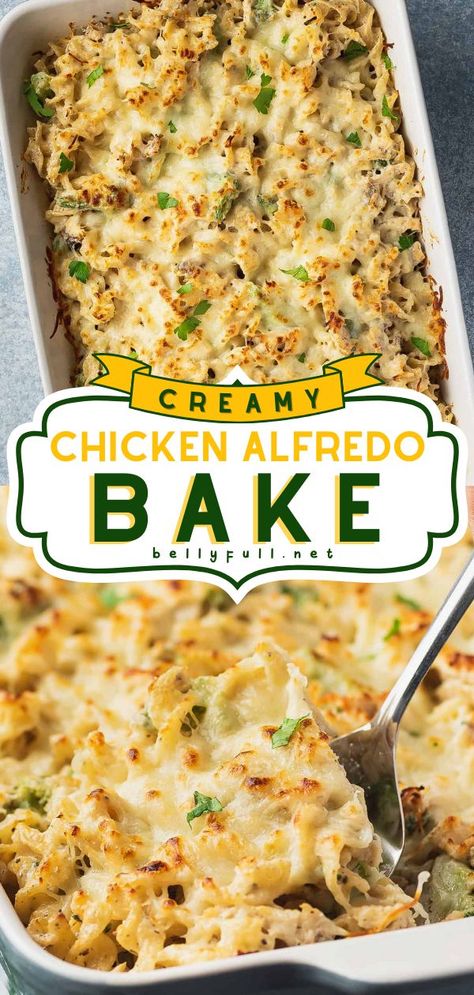 Chicken Alfredo Bake, comfort food recipes, simple dinner recipes Pasta And Broccoli, Chicken Breast Pasta, Creamy Cheesy Chicken, Cheesy Chicken Casserole, Alfredo Bake, Chicken Alfredo Bake, Chicken Crockpot Recipes Easy, Recipes Learn, Homemade Alfredo