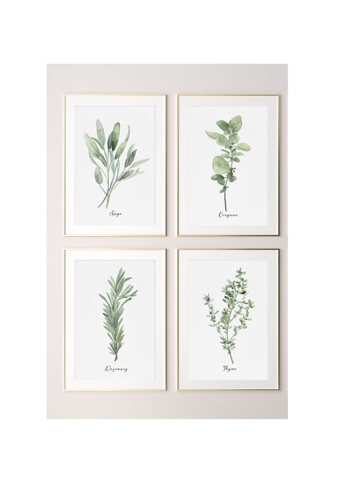 This set of 4 watercolor art prints depicting rosemary, oregano, thyme and sage belongs to my latest collection of kitchen herbs I painted in early 2022. These minimalist plants in muted sage green will perfectly correspond with walls painted in earthy colors. They will be ideal for creating a cosy and welcoming kitchen or dining room, especially in a modern farmhouse. As these prints are available in large American and European poster sizes, they will be suitable for restaurants and hotels as w Herbs Watercolor Paintings, Kitchen Decor Artwork, Sage Green Kitchen Dining Room, Kitchen Wall Prints Modern, Kitchen Art Work Ideas Wall Decor, Watercolor Art For Kitchen, Plant Watercolor Art, Prints For Kitchen Wall Art, Sage Green Dining Room Ideas