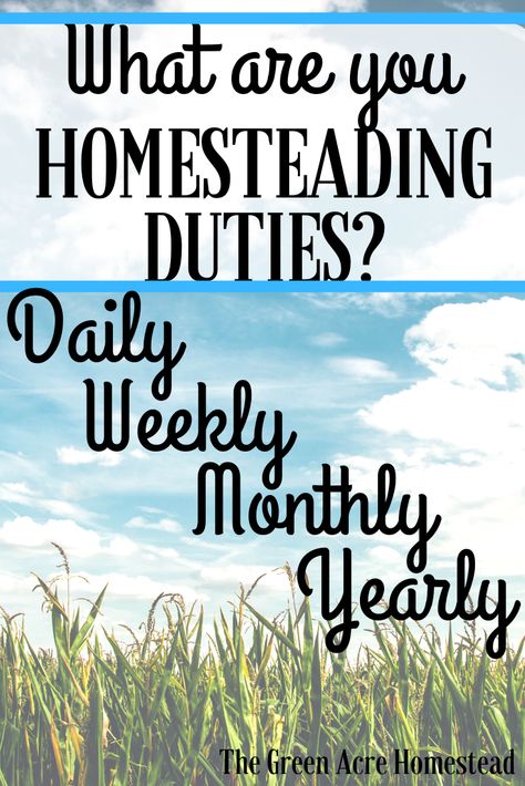 Daily, weekly, monthly and yearly homesteading duties and what they should be. This is a great guide for beginner homesteaders to find their footing #homesteading #homesteadingforbeginners #howtohomestead #backyardhomesteading #smallfarming #diy #doityourself Homestead Yearly Calendar, Homestead Schedule Daily, Homestead Calendar, Homestead To Do List, Homestead Schedule, Monthly Chores, Daily Chore List, Homestead Home, Homemade Extracts